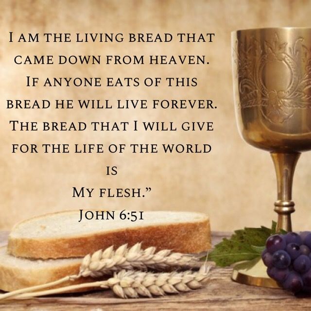 John 6 51