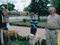 Animals